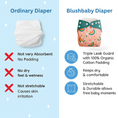 Load image into Gallery viewer, Reusable Cloth Diaper with Absorbent Insert Pad